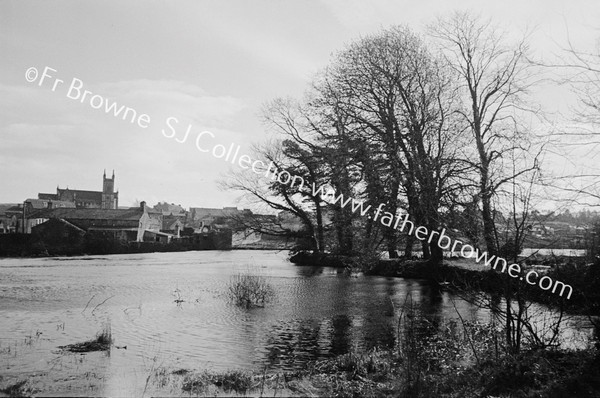 LINE OF WALLS ON NORTH BANK OF RIVER